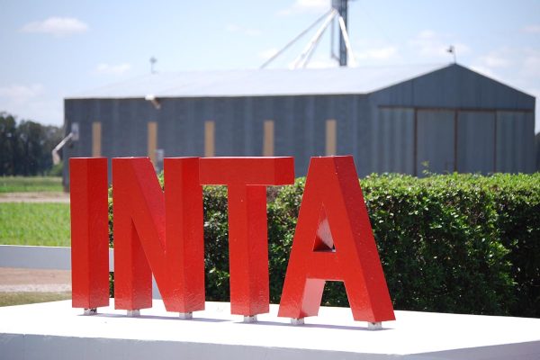 INTA | Corporate analytics platform
